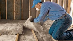 Best Blown-In Insulation  in Burnet, TX