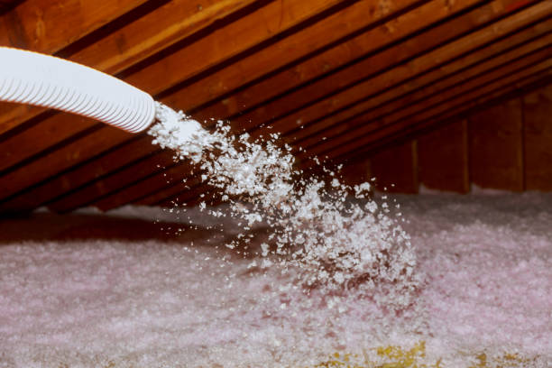 Best Batt and Roll Insulation  in Burnet, TX