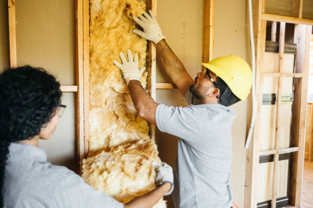 Best Radiant Barrier Insulation  in Burnet, TX