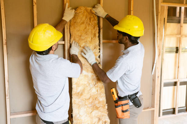 Best Blown-In Insulation  in Burnet, TX