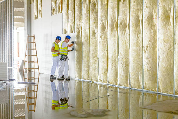 Best Soundproof Insulation  in Burnet, TX